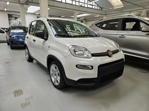 Annonce FIAT PANDA Hybride 2024 d'occasion 