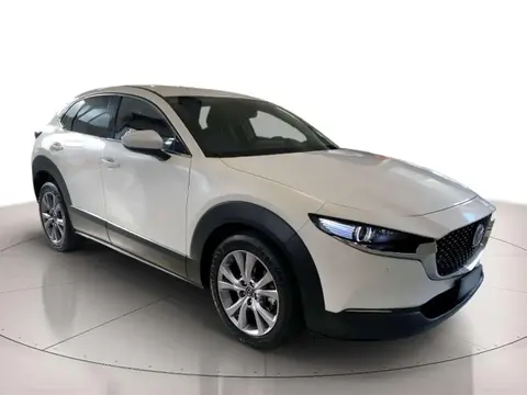 Used MAZDA CX-30 Hybrid 2021 Ad 