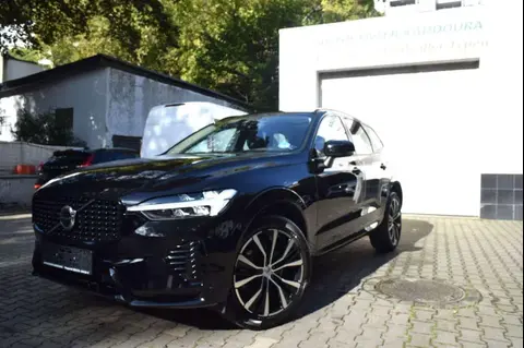 Annonce VOLVO XC60 Essence 2024 d'occasion 