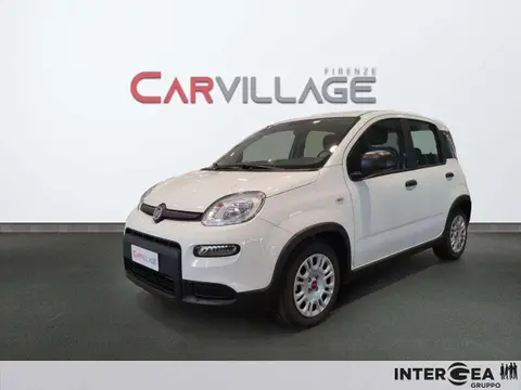 Used FIAT PANDA Hybrid 2023 Ad 