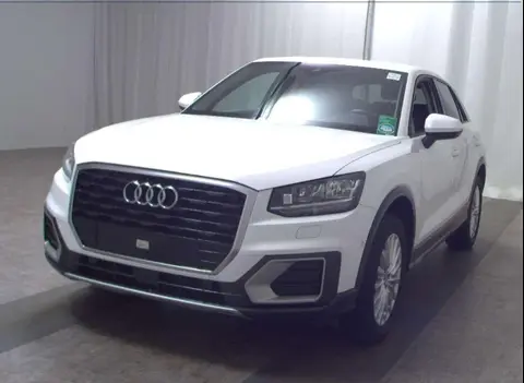 Annonce AUDI Q2 Diesel 2019 d'occasion 