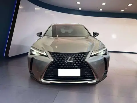 Used LEXUS UX Hybrid 2020 Ad 