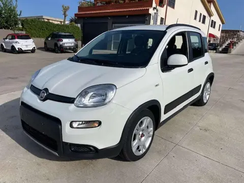 Used FIAT PANDA Hybrid 2022 Ad 