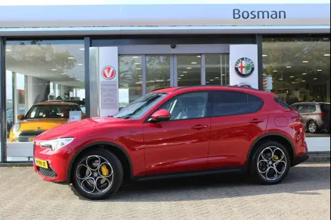 Used ALFA ROMEO STELVIO Petrol 2021 Ad 