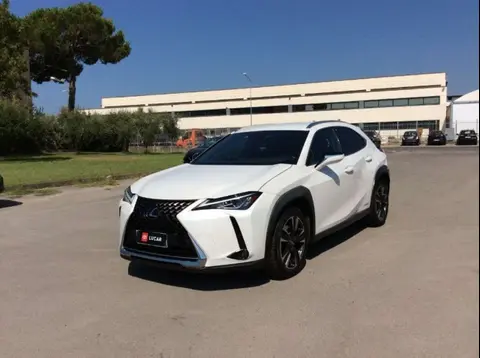 Used LEXUS UX Hybrid 2019 Ad 