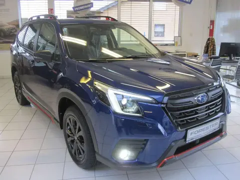 Annonce SUBARU FORESTER Hybride 2024 d'occasion 