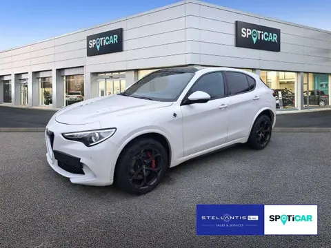 Used ALFA ROMEO STELVIO Petrol 2019 Ad 