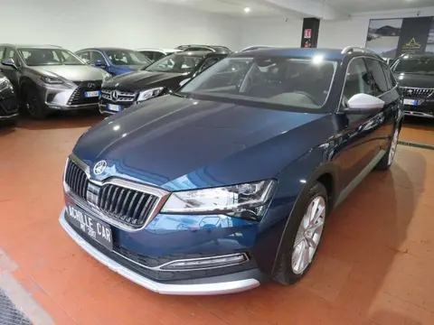 Annonce SKODA SUPERB Diesel 2022 d'occasion 