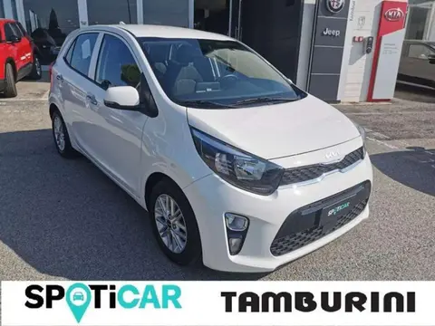 Used KIA PICANTO Petrol 2021 Ad 