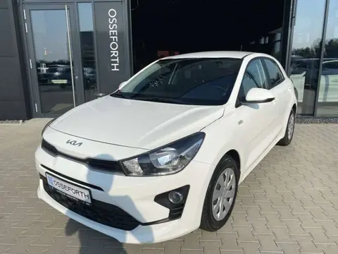 Annonce KIA RIO Essence 2023 d'occasion 