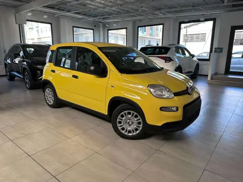 Annonce FIAT PANDA Hybride 2024 d'occasion 