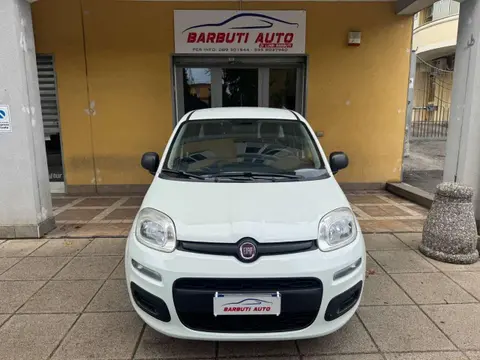 Used FIAT PANDA Hybrid 2021 Ad 