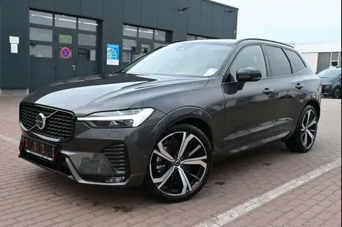 Annonce VOLVO XC60 Diesel 2023 d'occasion Allemagne