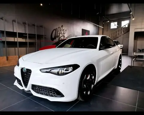 Used ALFA ROMEO GIULIA Diesel 2024 Ad 