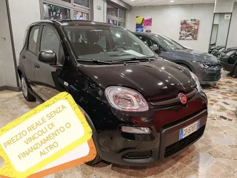 Annonce FIAT PANDA Hybride 2023 d'occasion 