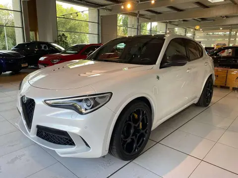 Used ALFA ROMEO STELVIO Petrol 2021 Ad 