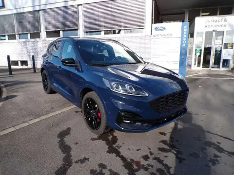 Used FORD KUGA Hybrid 2023 Ad 