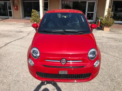 Used FIAT 500 Hybrid 2023 Ad 