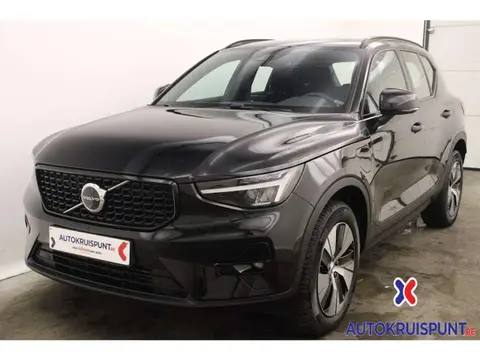 Used VOLVO XC40 Hybrid 2023 Ad 