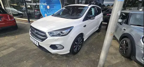 Used FORD KUGA Petrol 2019 Ad 