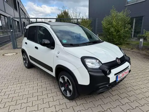 Annonce FIAT PANDA Essence 2019 d'occasion 