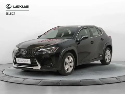 Used LEXUS UX Hybrid 2019 Ad 