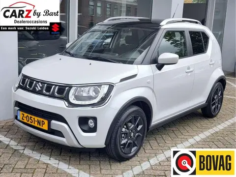 Annonce SUZUKI IGNIS Hybride 2024 d'occasion 