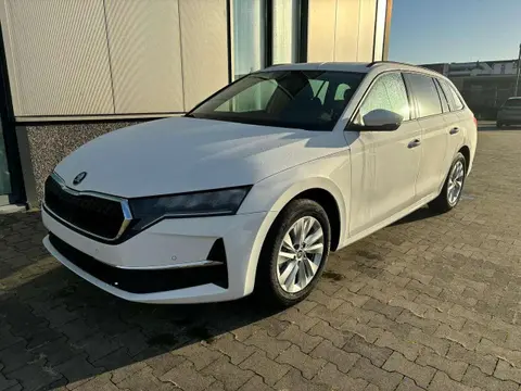 Annonce SKODA OCTAVIA Essence 2024 d'occasion 