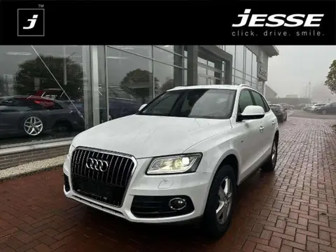 Used AUDI Q5 Diesel 2017 Ad 