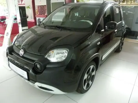 Used FIAT PANDA Petrol 2024 Ad 