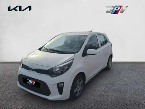 Used KIA PICANTO Petrol 2023 Ad 