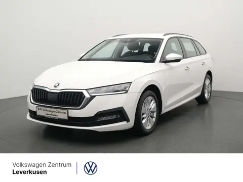 Used SKODA OCTAVIA Petrol 2021 Ad 