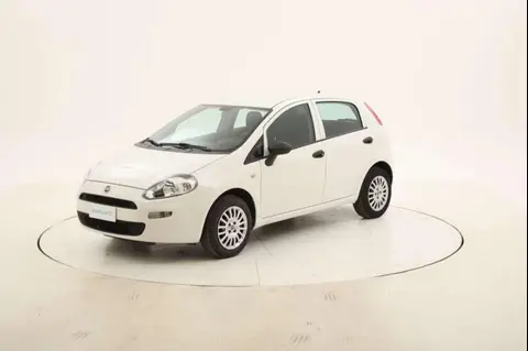 Annonce FIAT PUNTO GPL 2018 d'occasion 