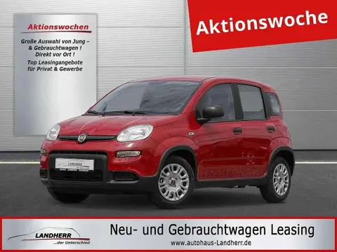 Used FIAT PANDA Petrol 2024 Ad 