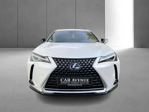 Used LEXUS UX Hybrid 2021 Ad Belgium