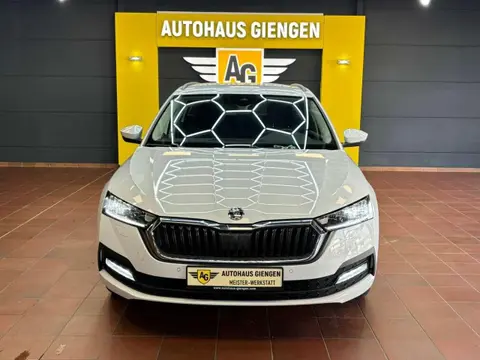 Annonce SKODA OCTAVIA Diesel 2021 d'occasion 