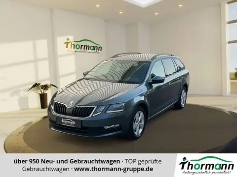 Annonce SKODA OCTAVIA Diesel 2019 d'occasion 