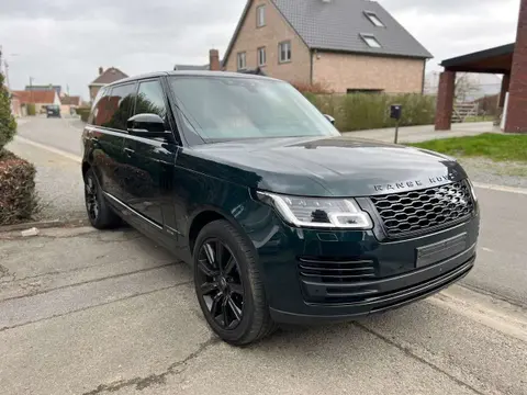 Used LAND ROVER RANGE ROVER Hybrid 2019 Ad 