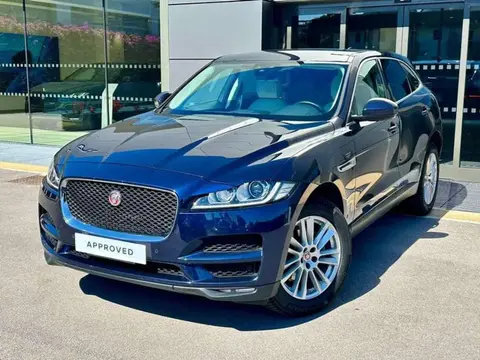 Used JAGUAR F-PACE Diesel 2019 Ad 