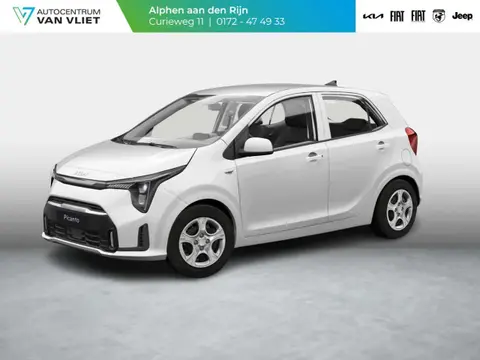 Used KIA PICANTO Petrol 2024 Ad 