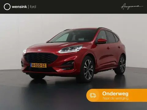 Annonce FORD KUGA Hybride 2020 d'occasion 