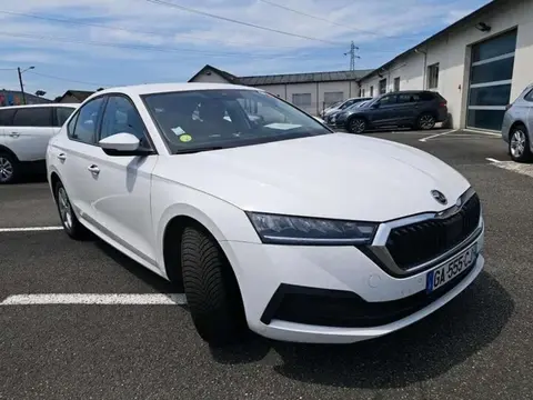 Used SKODA OCTAVIA Diesel 2021 Ad 