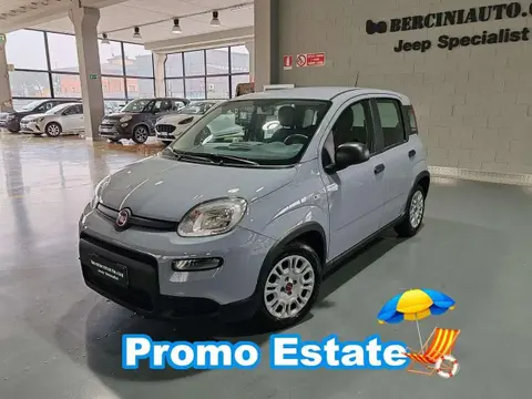 Used FIAT PANDA Hybrid 2023 Ad 