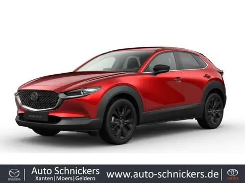 Annonce MAZDA CX-30 Essence 2024 d'occasion 