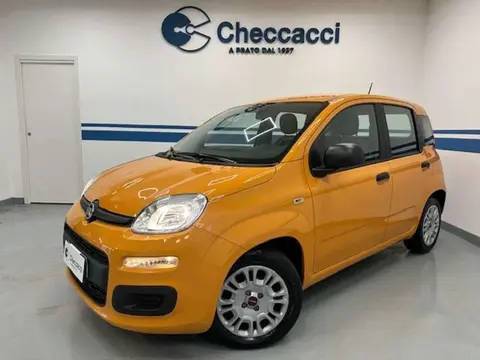 Used FIAT PANDA Hybrid 2021 Ad 