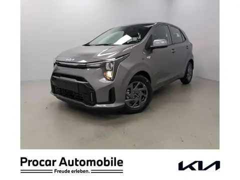 Used KIA PICANTO Petrol 2024 Ad 