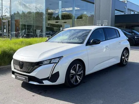 Annonce PEUGEOT 308 Essence 2023 d'occasion 