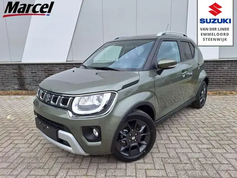 Used SUZUKI IGNIS Petrol 2024 Ad 