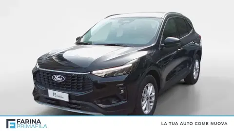 Annonce FORD KUGA Hybride 2024 d'occasion 