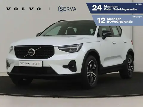 Used VOLVO XC40 Hybrid 2023 Ad 